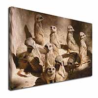 Meerkats Canvas X-Large 30"x20" Wall Art Print