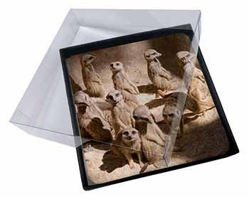 4x Meerkats Picture Table Coasters Set in Gift Box