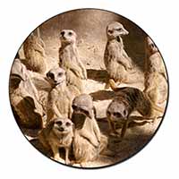 Meerkats Fridge Magnet Printed Full Colour