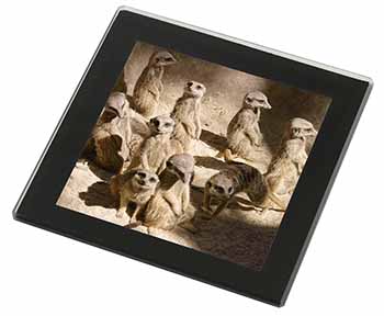 Meerkats Black Rim High Quality Glass Coaster