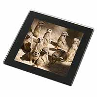 Meerkats Black Rim High Quality Glass Coaster