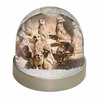 Meerkats Snow Globe Photo Waterball