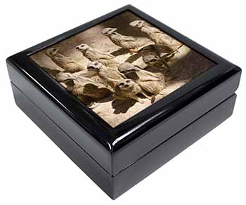 Meerkats Keepsake/Jewellery Box