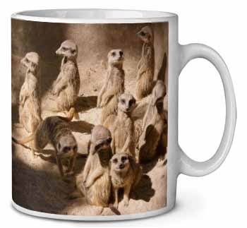Meerkats Ceramic 10oz Coffee Mug/Tea Cup