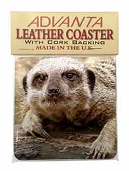 Cheeky Meerkat Single Leather Photo Coaster