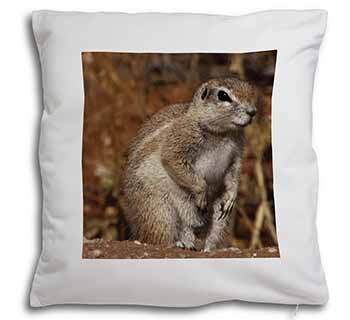 Chipmumks Soft Velvet Feel Cushion Cover With Inner Pillow