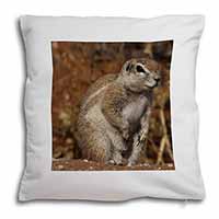 Chipmumks Soft Velvet Feel Cushion Cover With Inner Pillow