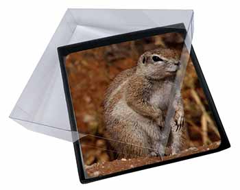 4x Chipmumks Picture Table Coasters Set in Gift Box