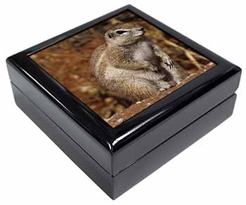 Chipmumks Keepsake/Jewellery Box Christmas Gift