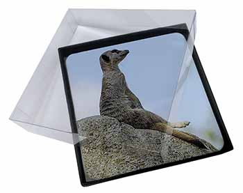 4x Meerkat Picture Table Coasters Set in Gift Box