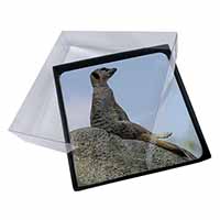 4x Meerkat Picture Table Coasters Set in Gift Box - Advanta Group®