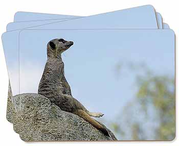 Meerkat Picture Placemats in Gift Box