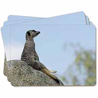 Meerkat Picture Placemats in Gift Box - Advanta Group®