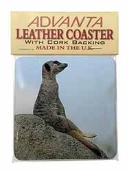 Meerkat Single Leather Photo Coaster
