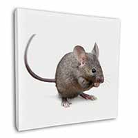 House Mouse Square Canvas 12"x12" Wall Art Picture Print