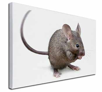 House Mouse Canvas X-Large 30"x20" Wall Art Print