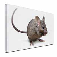 House Mouse Canvas X-Large 30"x20" Wall Art Print