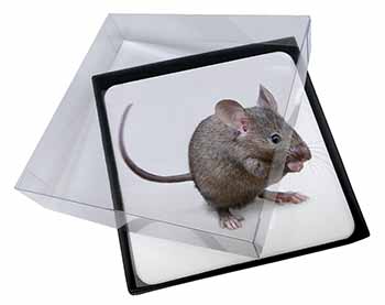 4x House Mouse Picture Table Coasters Set in Gift Box