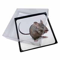 4x House Mouse Picture Table Coasters Set in Gift Box