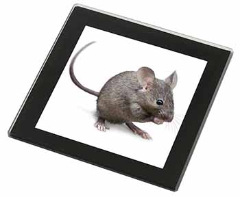 House Mouse Black Rim High Quality Glass Coaster