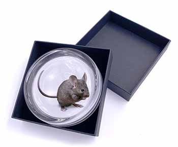 House Mouse Glass Paperweight in Gift Box