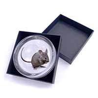House Mouse Glass Paperweight in Gift Box