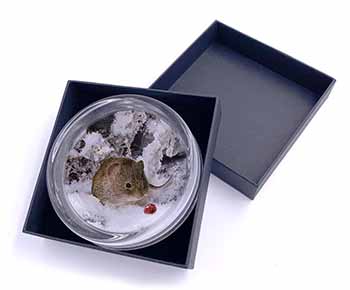 Cute Field Mouse in Snow Glass Paperweight in Gift Box