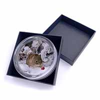 Cute Field Mouse in Snow Glass Paperweight in Gift Box