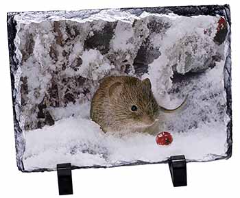 Cute Field Mouse in Snow, Stunning Photo Slate
