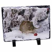 Cute Field Mouse in Snow, Stunning Photo Slate