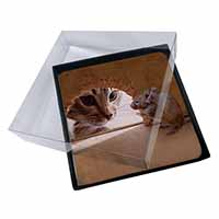 4x Cat and Mouse Picture Table Coasters Set in Gift Box