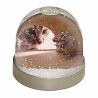 Cat and Mouse Snow Globe Photo Waterball