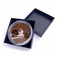 Cat and Mouse Glass Paperweight in Gift Box