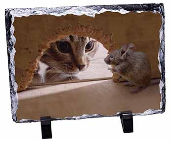 Cat and Mouse, Stunning Animal Photo Slate