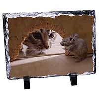 Cat and Mouse, Stunning Photo Slate