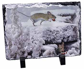 Field Mice, Snow Mouse, Stunning Photo Slate