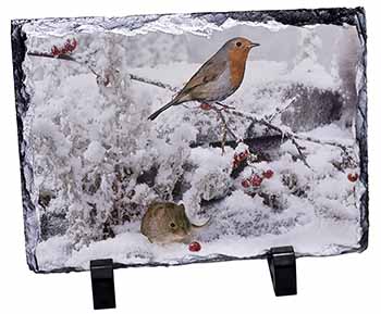 Snow Mouse and Robin Print, Stunning Photo Slate