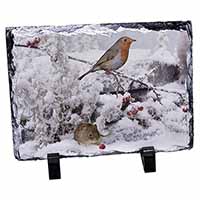 Snow Mouse and Robin Print, Stunning Photo Slate