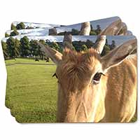 Pretty Antelope Picture Placemats in Gift Box
