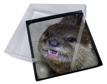 4x Cheeky Otters Face Picture Table Coasters Set in Gift Box