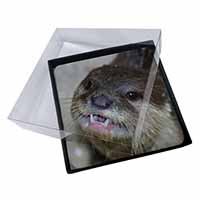 4x Cheeky Otters Face Picture Table Coasters Set in Gift Box