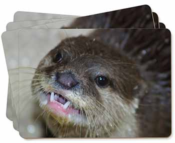 Cheeky Otters Face Picture Placemats in Gift Box