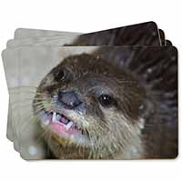 Cheeky Otters Face Picture Placemats in Gift Box