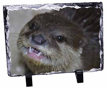 Cheeky Otters Face, Stunning Photo Slate