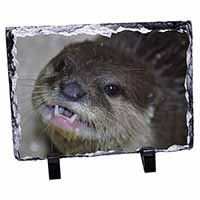 Cheeky Otters Face, Stunning Animal Photo Slate