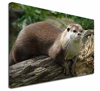 River Otter Canvas X-Large 30"x20" Wall Art Print