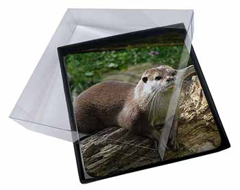 4x River Otter Picture Table Coasters Set in Gift Box