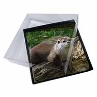 4x River Otter Picture Table Coasters Set in Gift Box