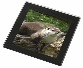 River Otter Black Rim High Quality Glass Coaster