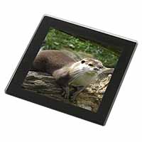 River Otter Black Rim High Quality Glass Coaster